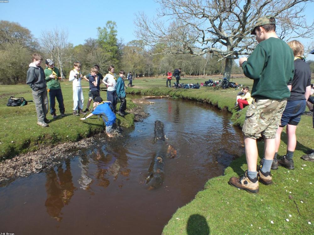 Young volunteers restoring a forest creek