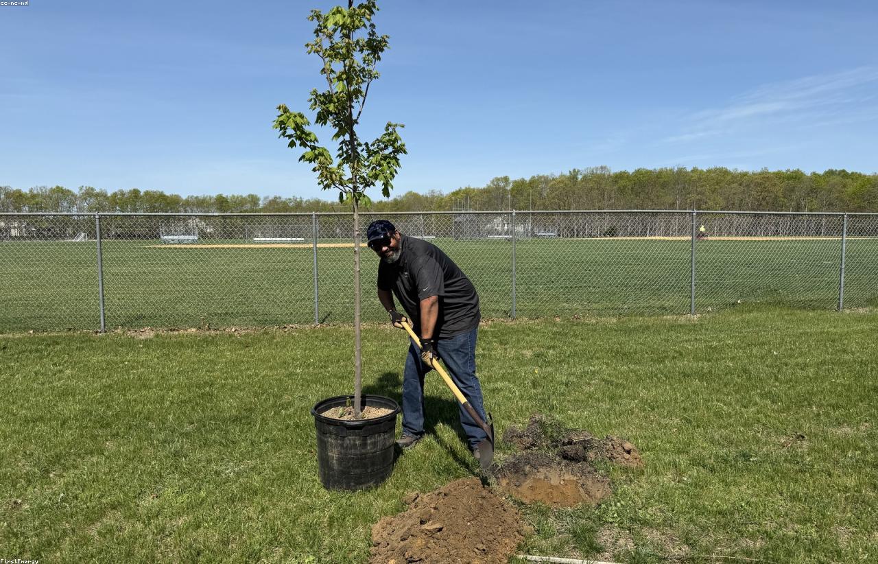 A volunteer planting a young tree in an open field